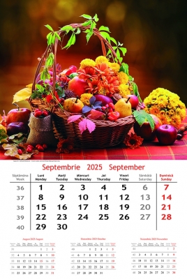 Calendar cu imagini Extravaganza, 31.5 x 48 cm, 12 file, 2025